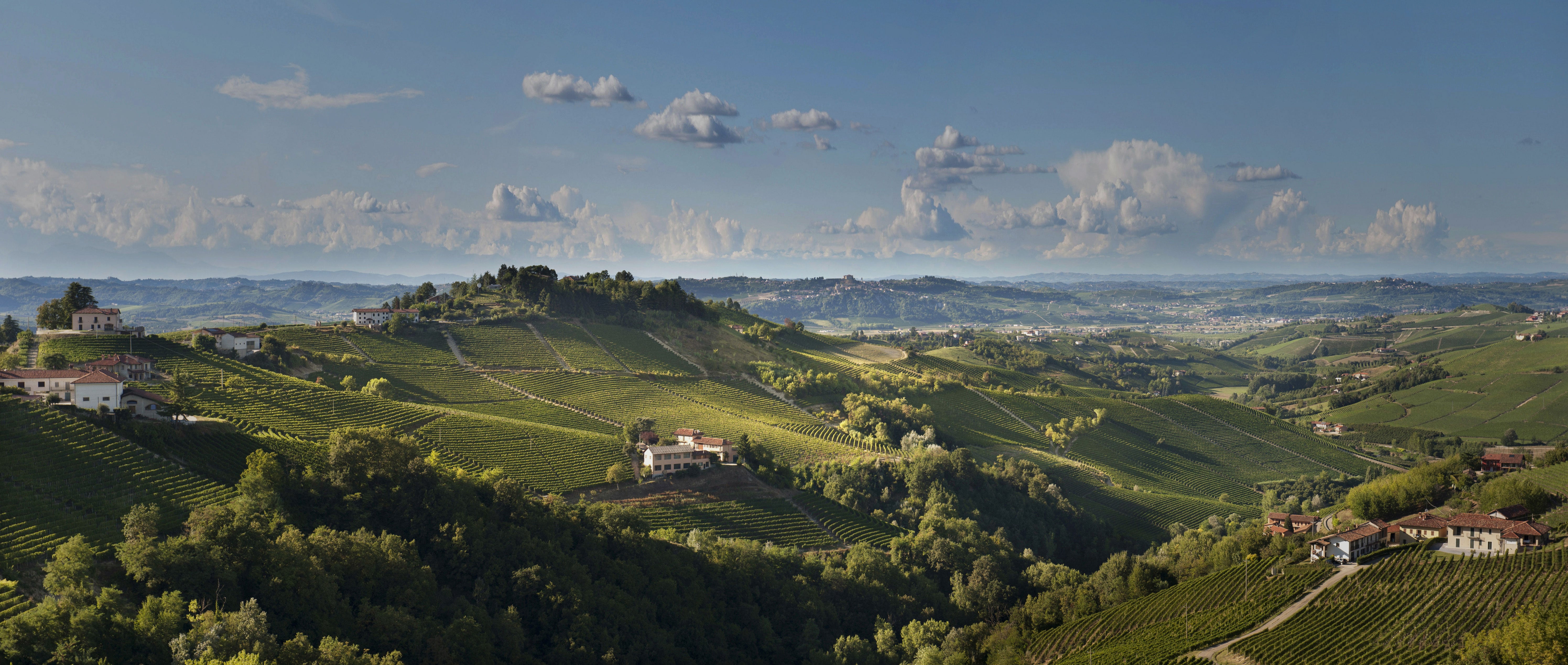 I nostri vini